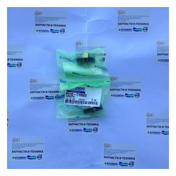 ������ P010-110003