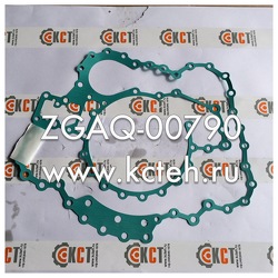 ��������� ZGAQ-00790