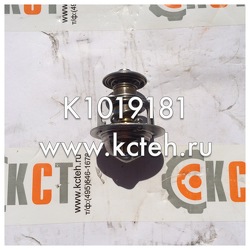 ��������� K1019181