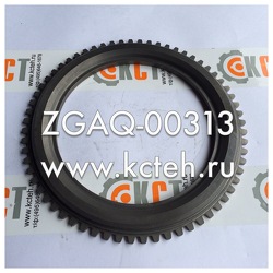 ����� �������� ZGAQ-00313