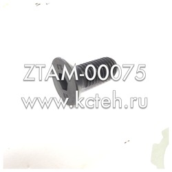 ���� ZTAM-00075
