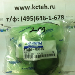 ������ ZTAM-00575