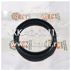 ������� XKAQ-00119