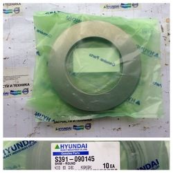 ����� S391-090145