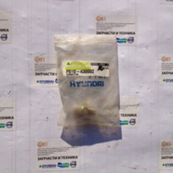 ������ P010-430002