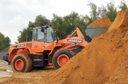 Doosan DL 250