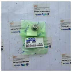 ������ XKAY-00501