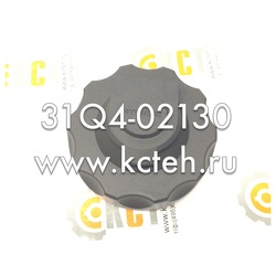    31Q4-02130