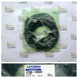 ������ 61Q6-06600