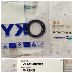������ ZTAM-00202