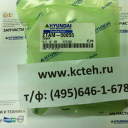 ������ ZTAM-00055
