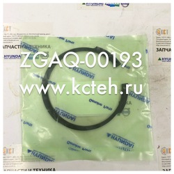 ������ V-�������� ZGAQ-00193