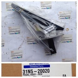 ������ � ����� 31N5-20020