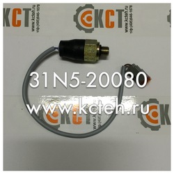 ������ ���������� 31N5-20080